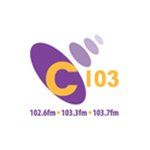 C103